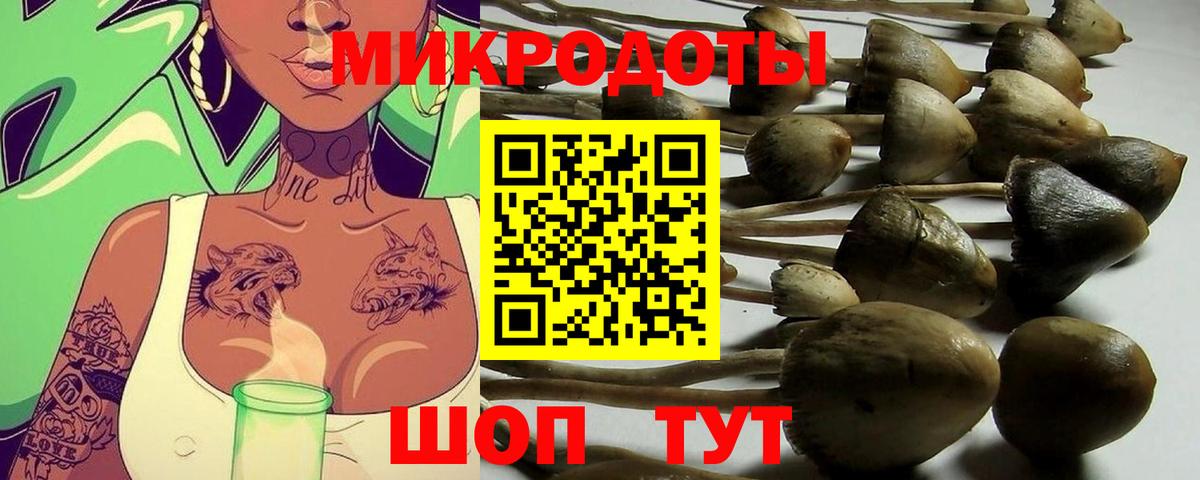Псилоцибиновые грибы ЛСД Дюртюли