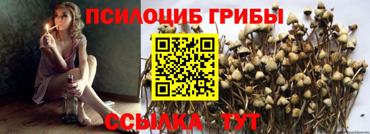 Галлюциногенные грибы GOLDEN TEACHER  Псилоцибиновые грибы прущие грибы  Вход с VPN  Дюртюли 